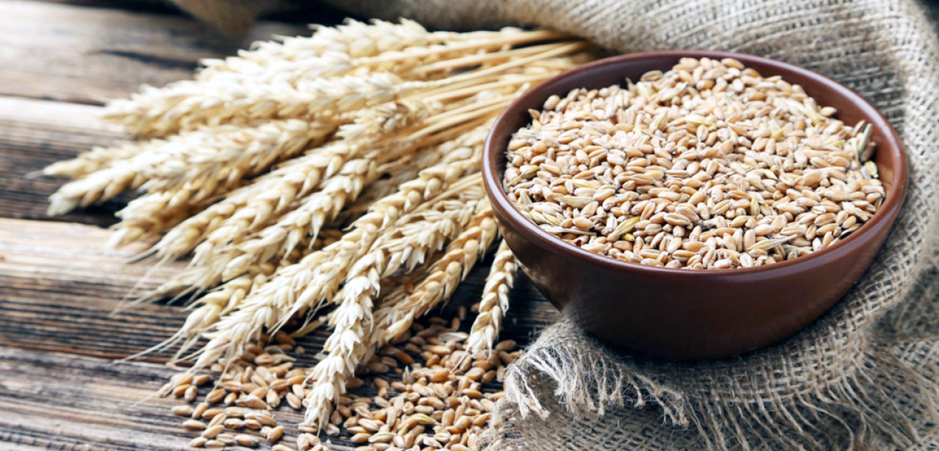 FLAMINGO IMPEX-wheat